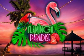 Flamingo Paradise